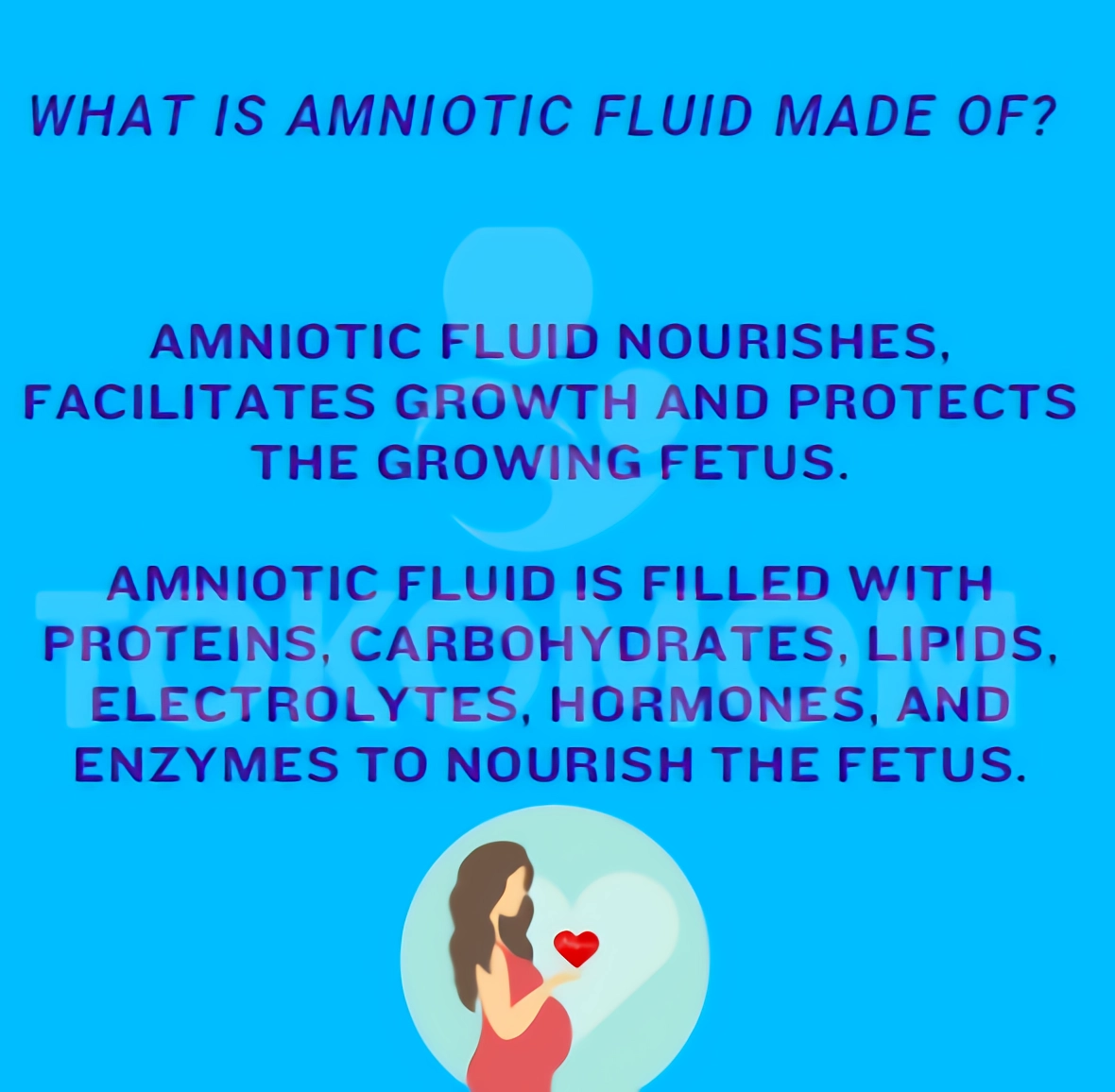 What is Amniotic Fluid Made Of? Tokomom