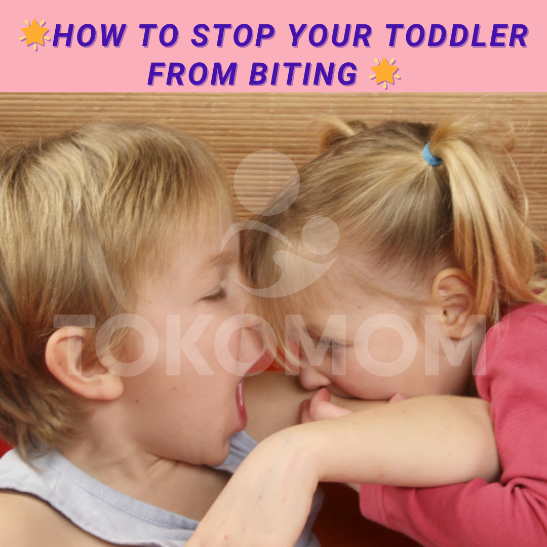 Why toddlers bite how to get them to stop tokomom