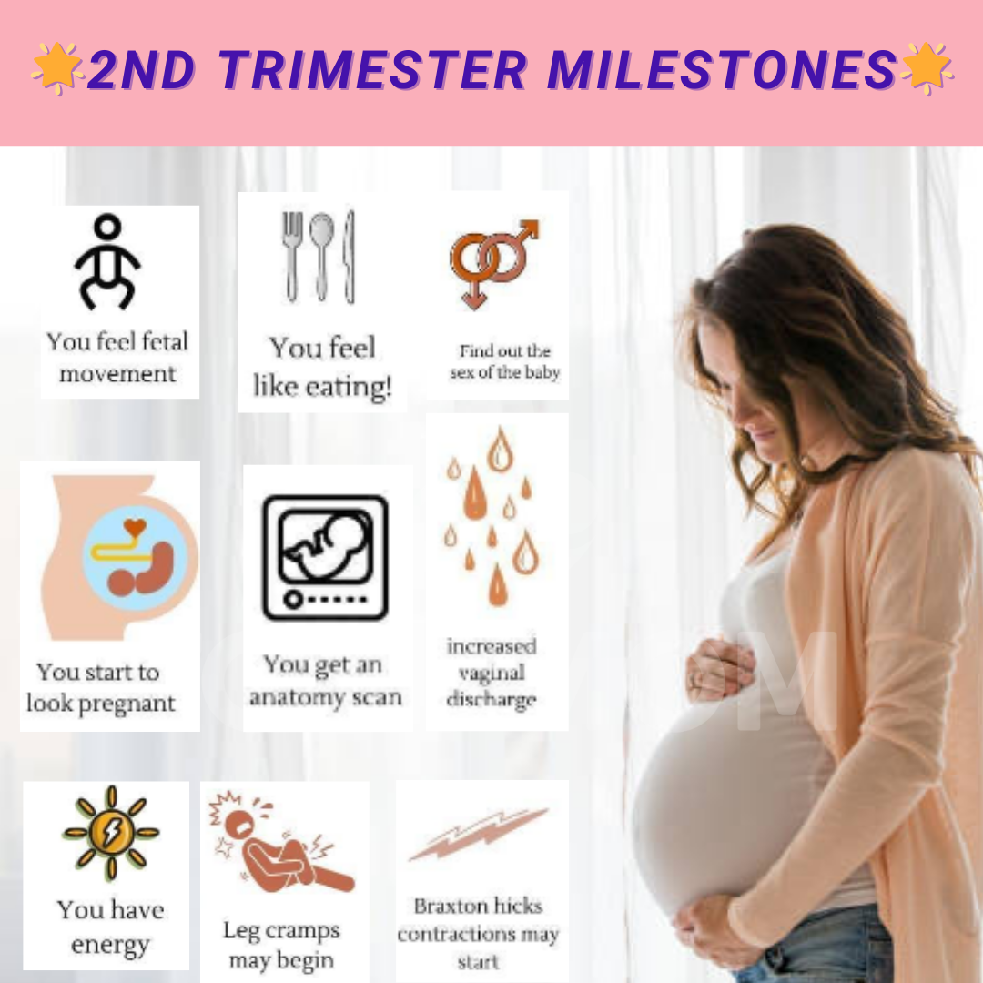 The Second Trimester Changes to Your Body Tokomom