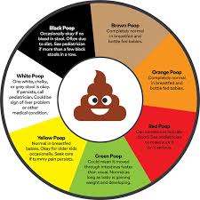 Baby Poop Colors and Textures - Meanings and Causes (Grey, Black, Gree ...